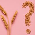 колосья пшеницы и вопросительный знак из зерен пшеницы