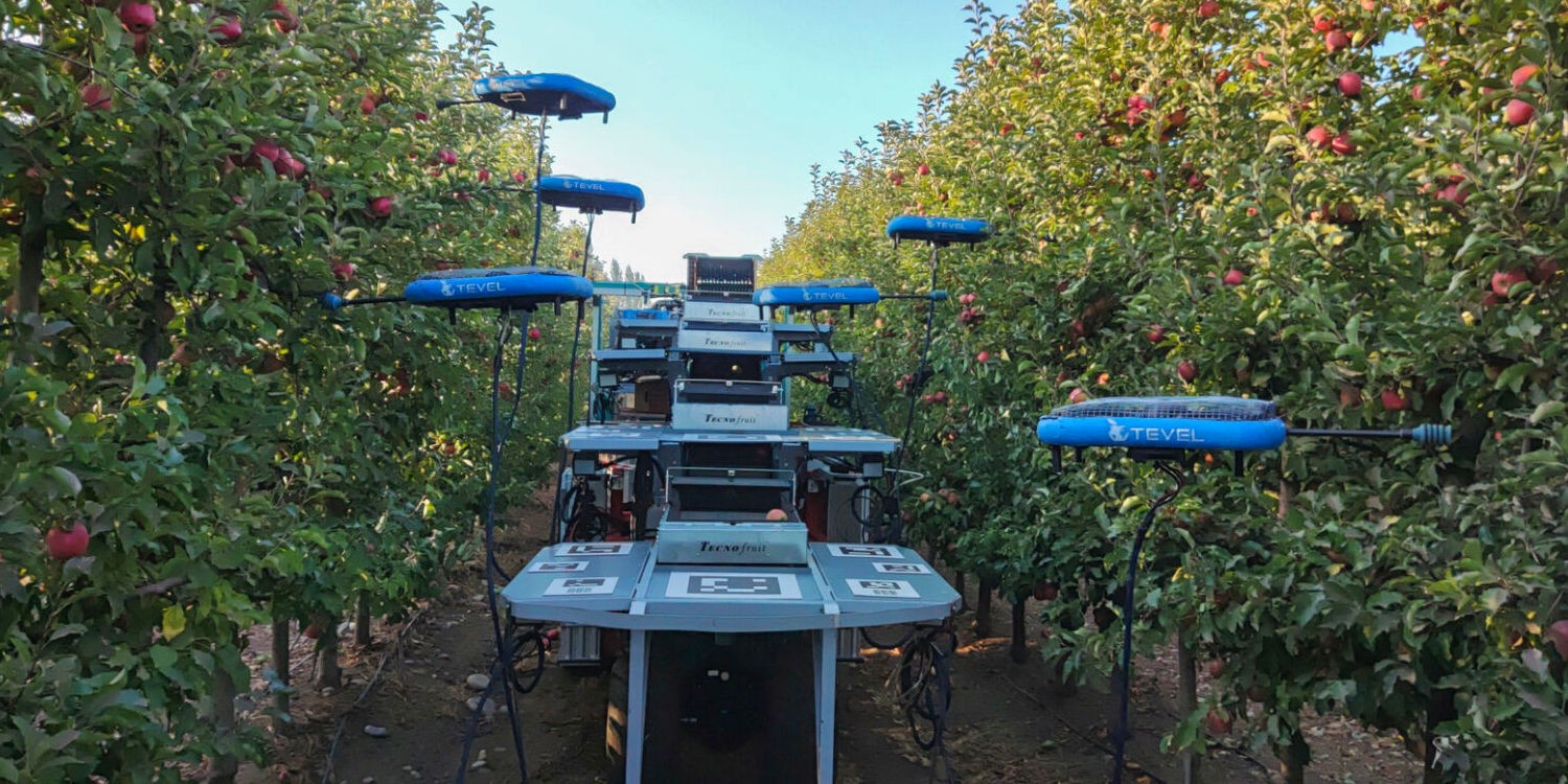 летающие роботы собирают фрукты