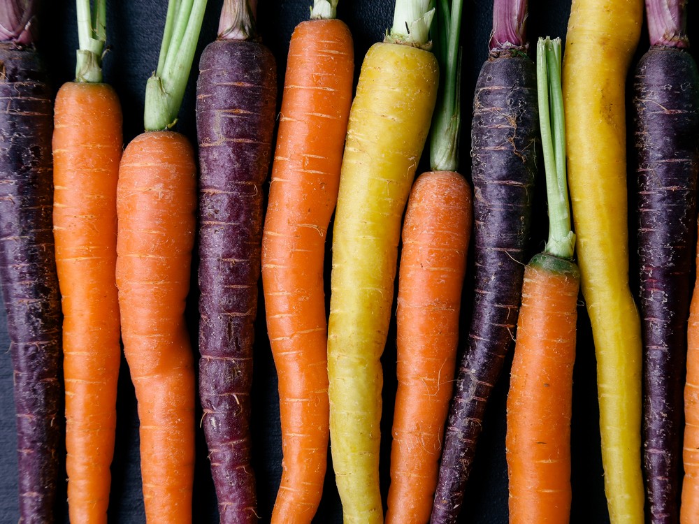 морковь разных цветов