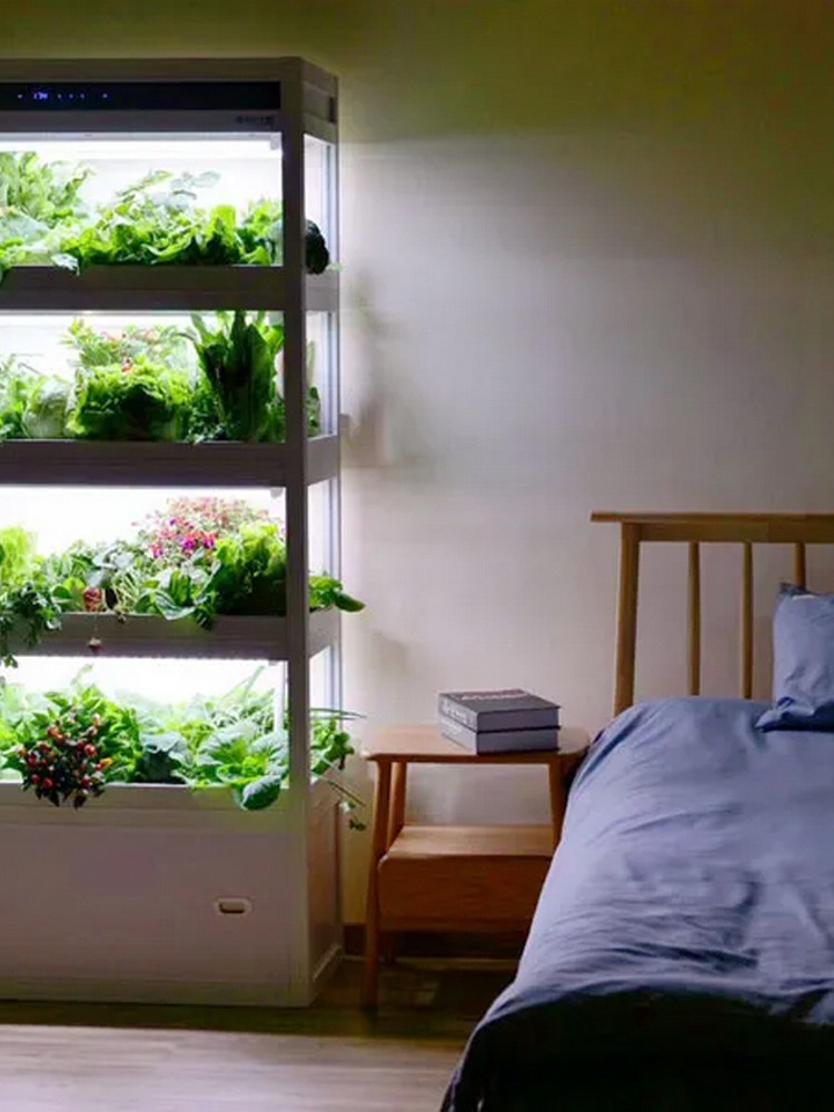 стеллаж с растениями в жилой комнате