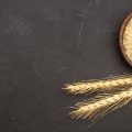 Зерна пшеницы в круглой миске и колосья пшеницы на темном фоне