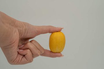 Женская рука держит маленькую закусочную дыню желтого цвета