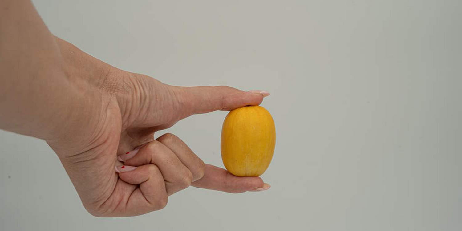 Женская рука держит маленькую закусочную дыню желтого цвета