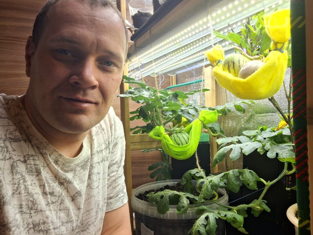 Антон Филатов выращивает дома арбузы и пепино