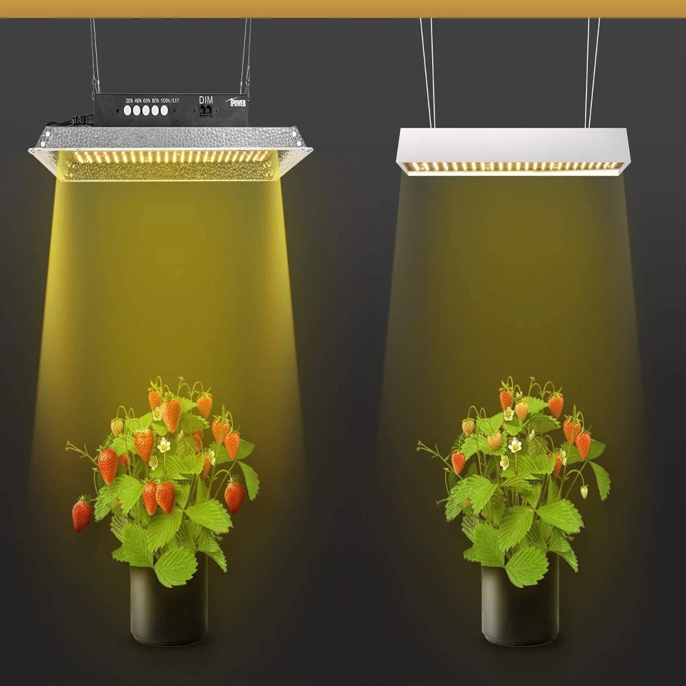 растения под led-лампами