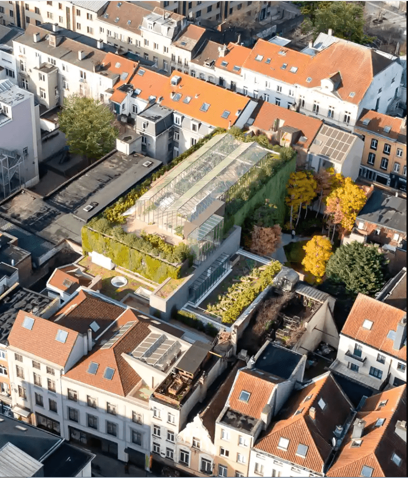 проект озеленения крыши здания