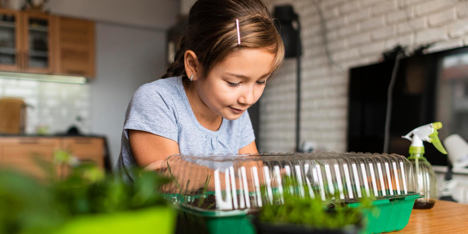 Девочка занимается выращиванием растений дома