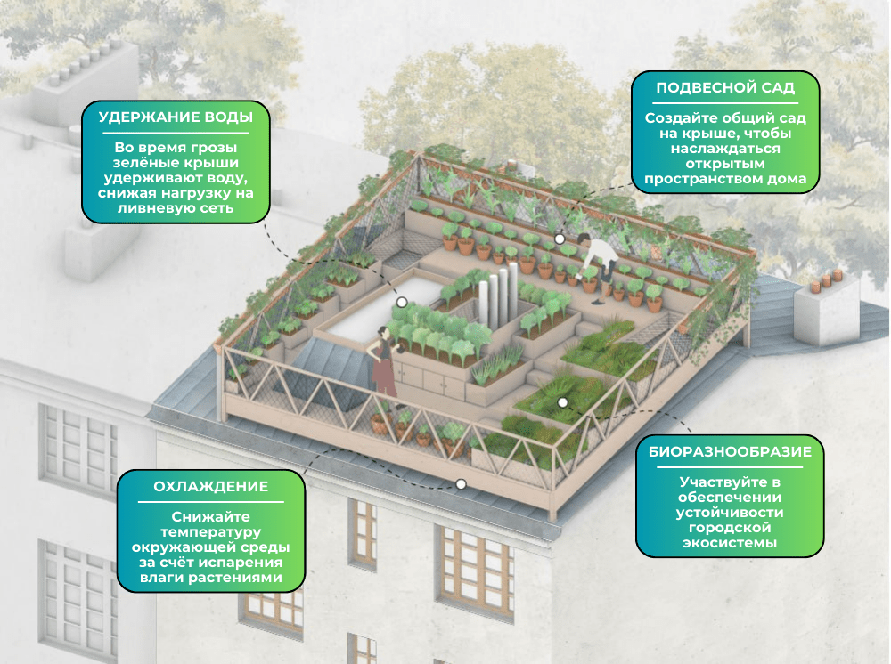 Преимущества организации сада на крыше многоэтажного дома в городе