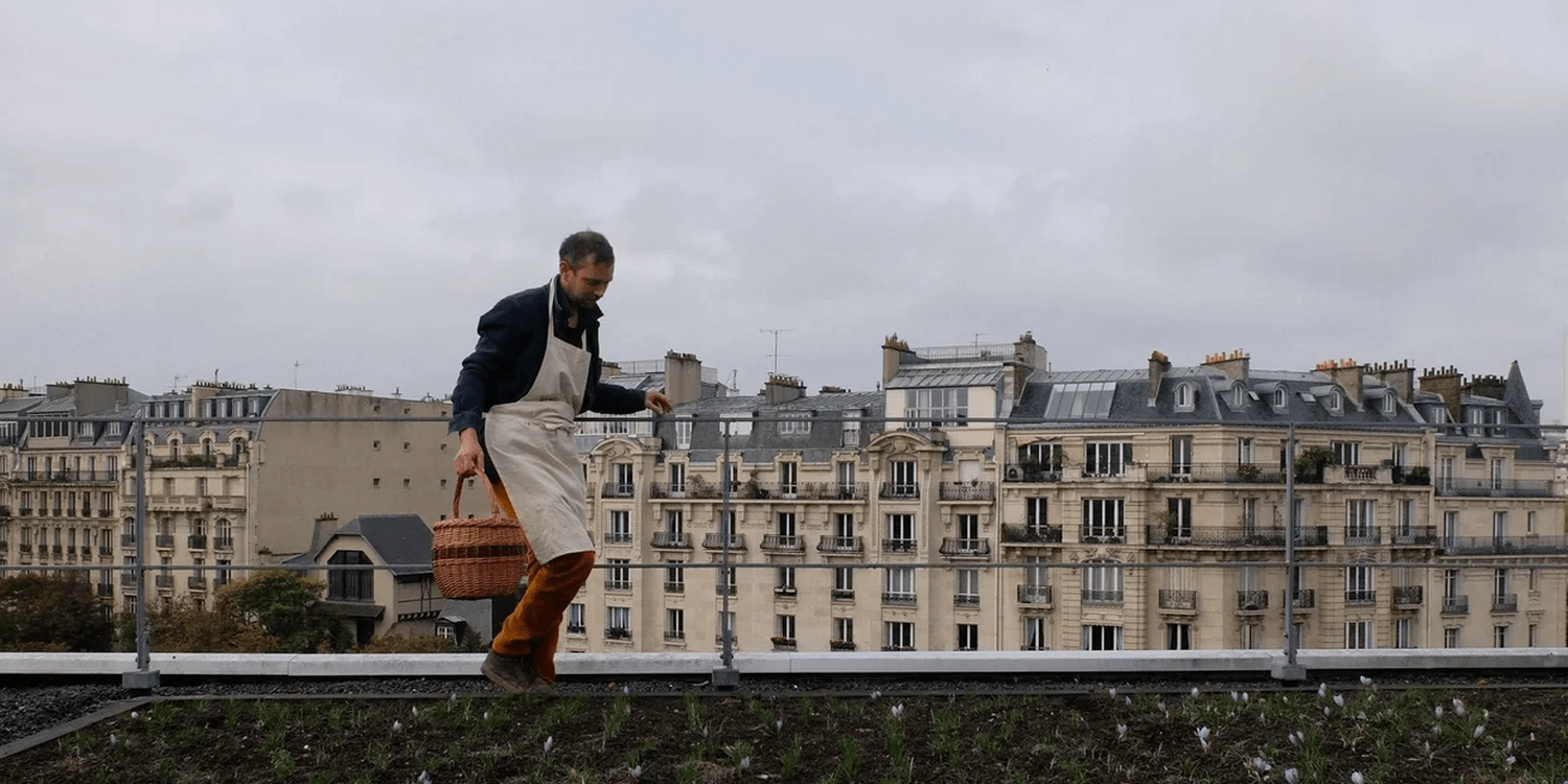 Мужчина держит корзину во время сбора урожая в саду на крыше Topager в Париже