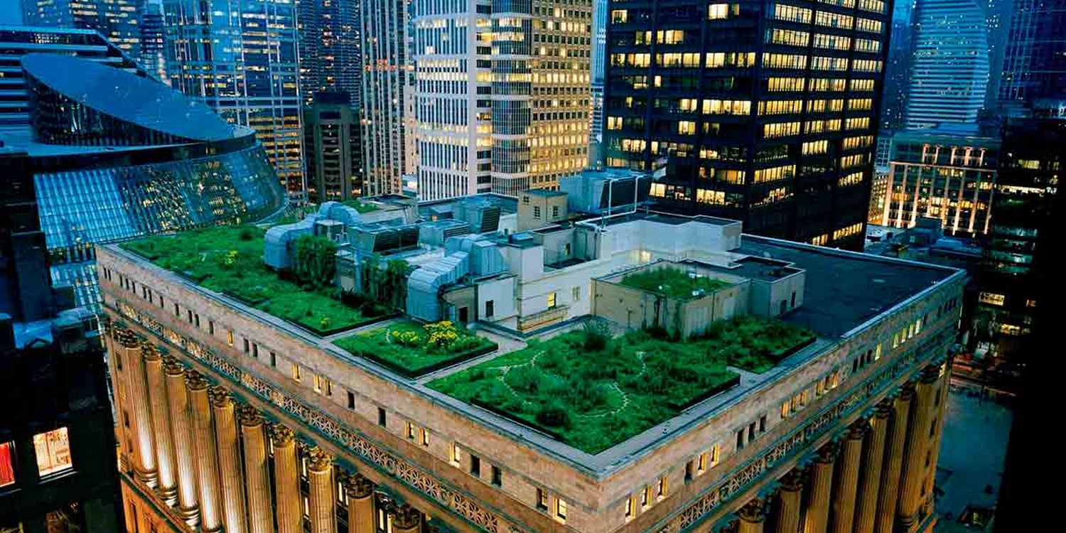 Сад разбит на крыше многоэтажного знания в мегаполисе