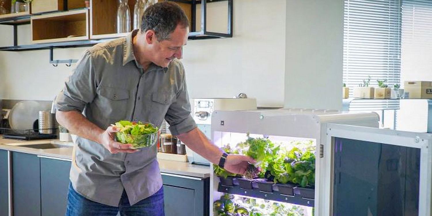 Мужчина достает свежую зелень из домашней минифермы, установленной у него на кухне