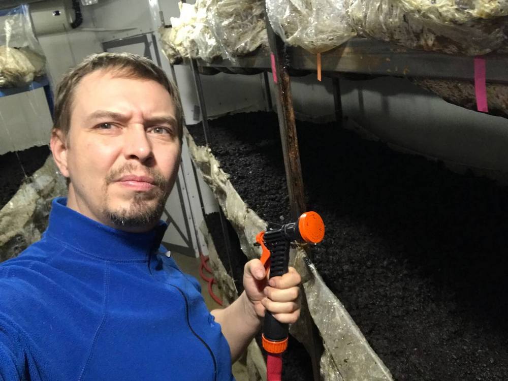 Дмитрий Бахтин в камере грибной сити-фермы
