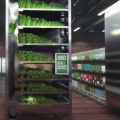 В магазине стоит автомат по продаже свежей зелени