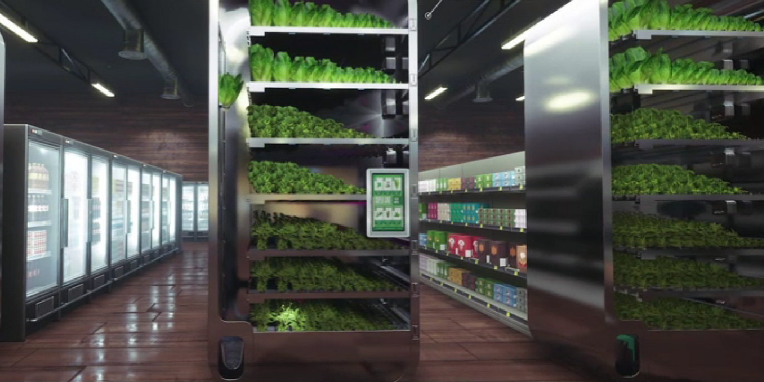 В магазине стоит автомат по продаже свежей зелени