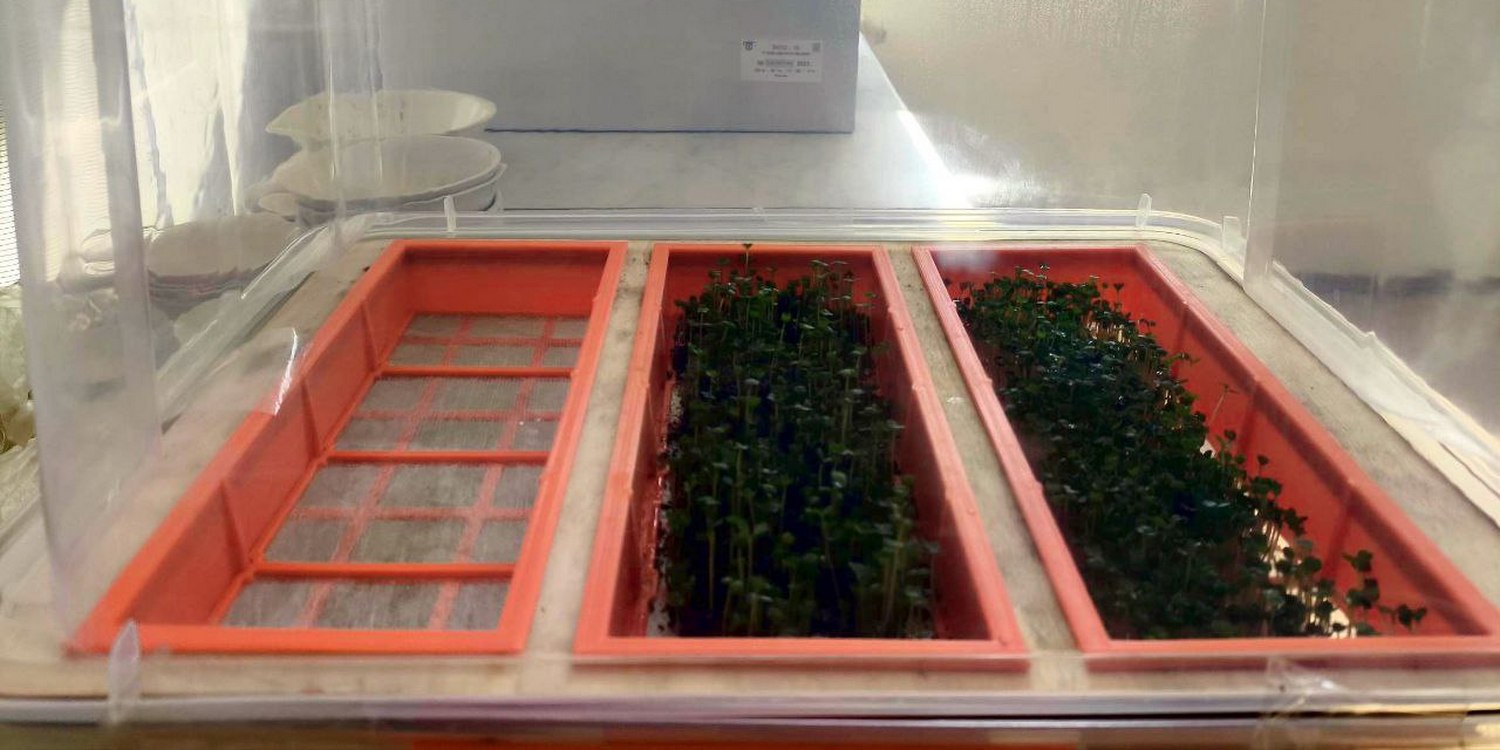 Автоматизированная компактрная аэропонная установка для выращивания микрозелени