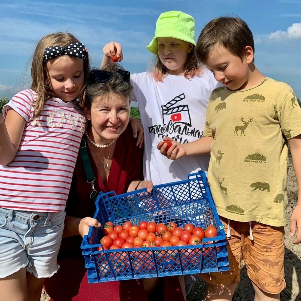 женщина с детьми собирают помидоры