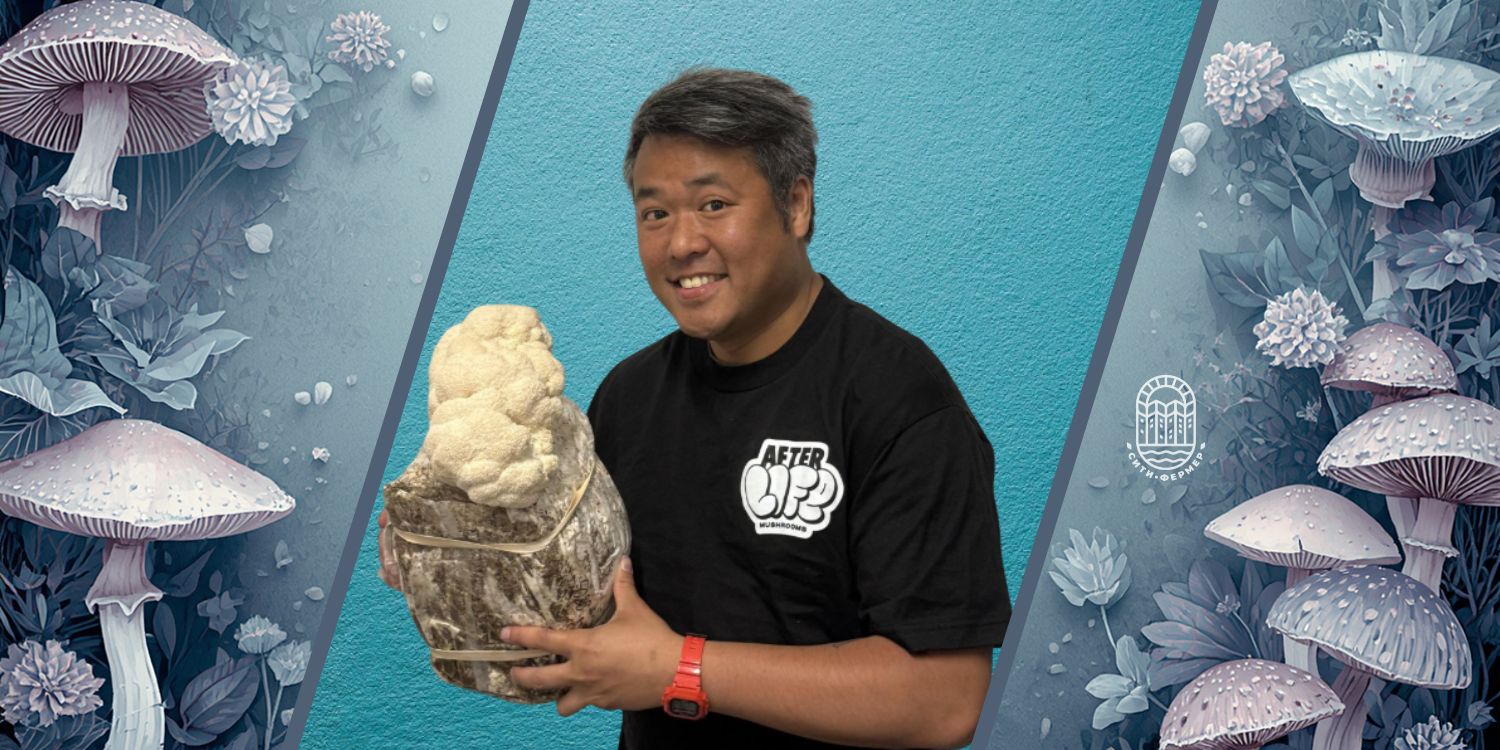 Мужчина держит в руках мешок с субстратом из которого растут грибы