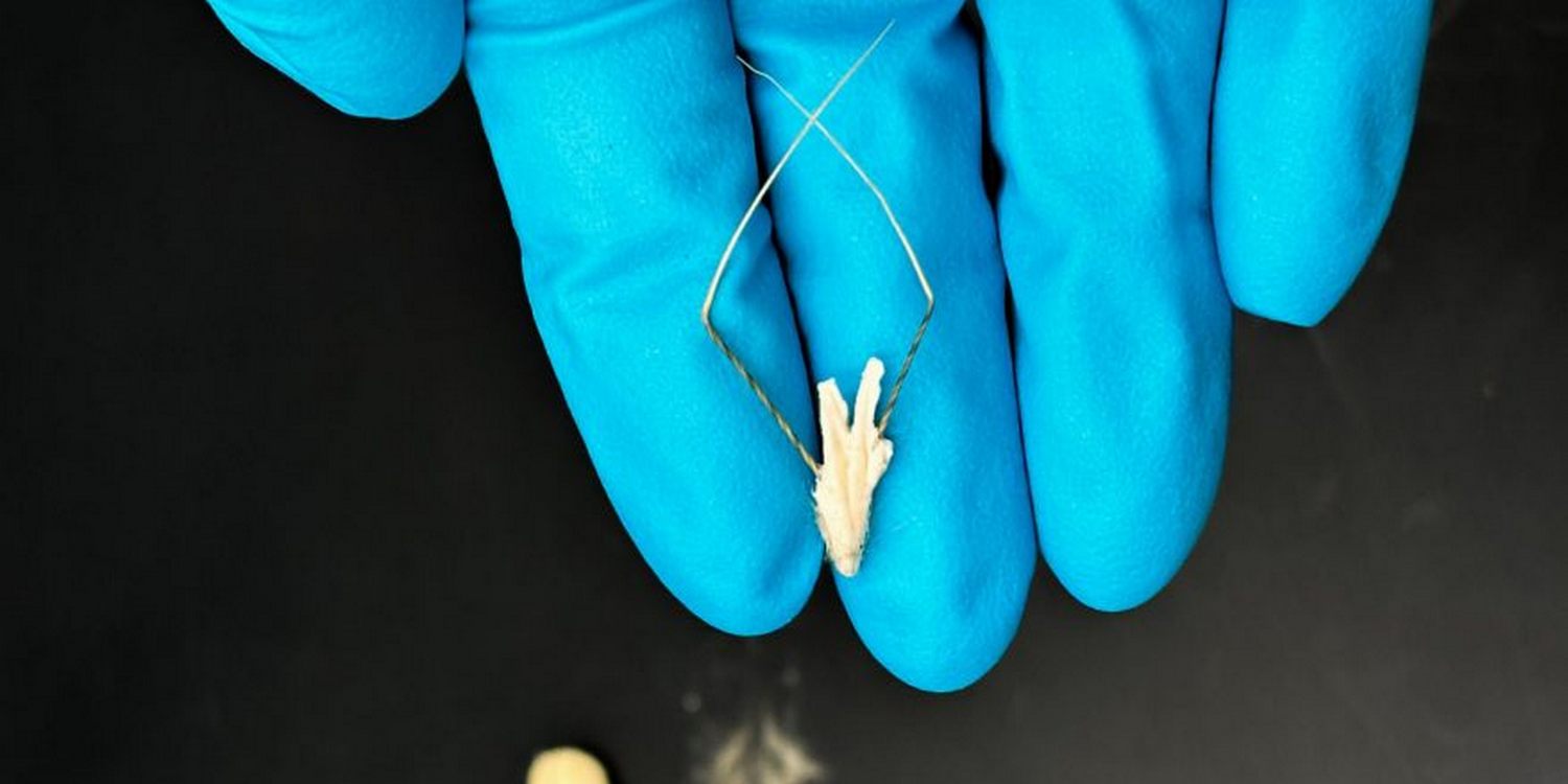 Рука в синей перчатке держит миниатюрного робота для посева семян