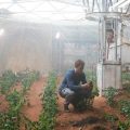 Астронавт выращивает картофель в теплице на Марсе