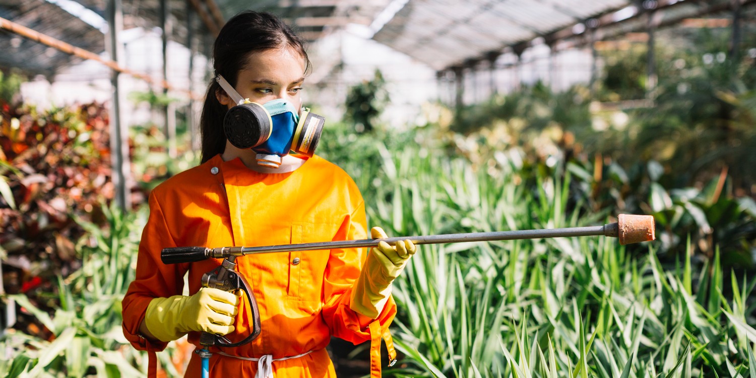 Девушка в распираторе и защитном костюме идет с опрыскивателем по теплице с растениями