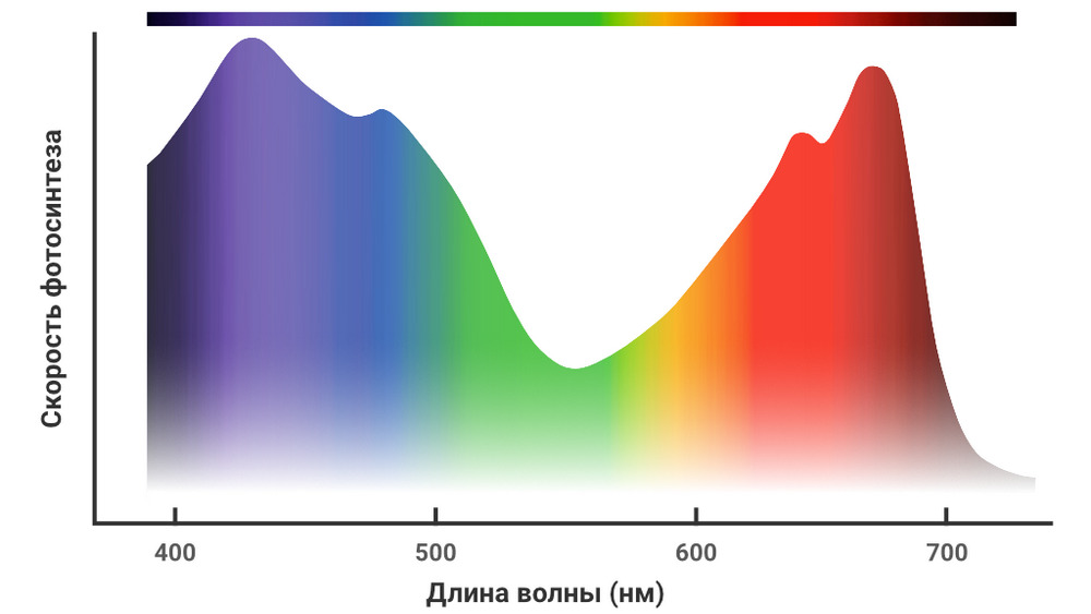 универсальный спектр для растений