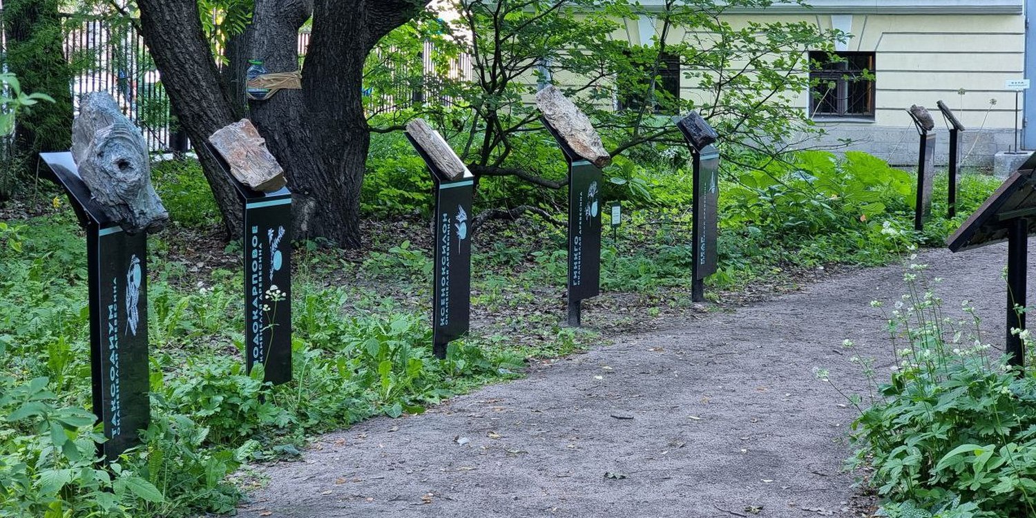 экспонаты экспозиции "Палеосад" в Ботаническом саду Петра Великого