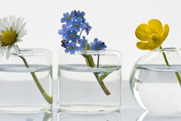 цветы в прозрачных банках с водой