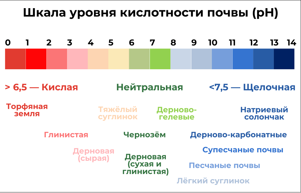 шкала уровня кислотности почвы pH