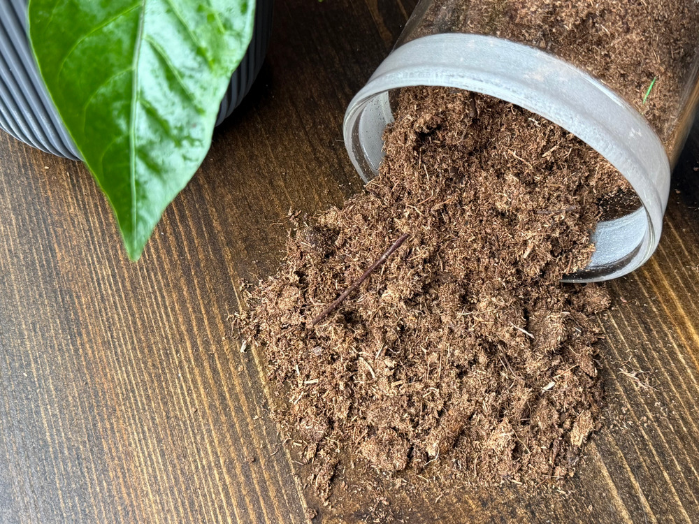 верховой торф рассыпан на деревянной поверхности