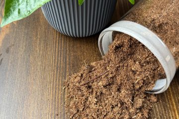 торф крупным планом на деревянной поверхности