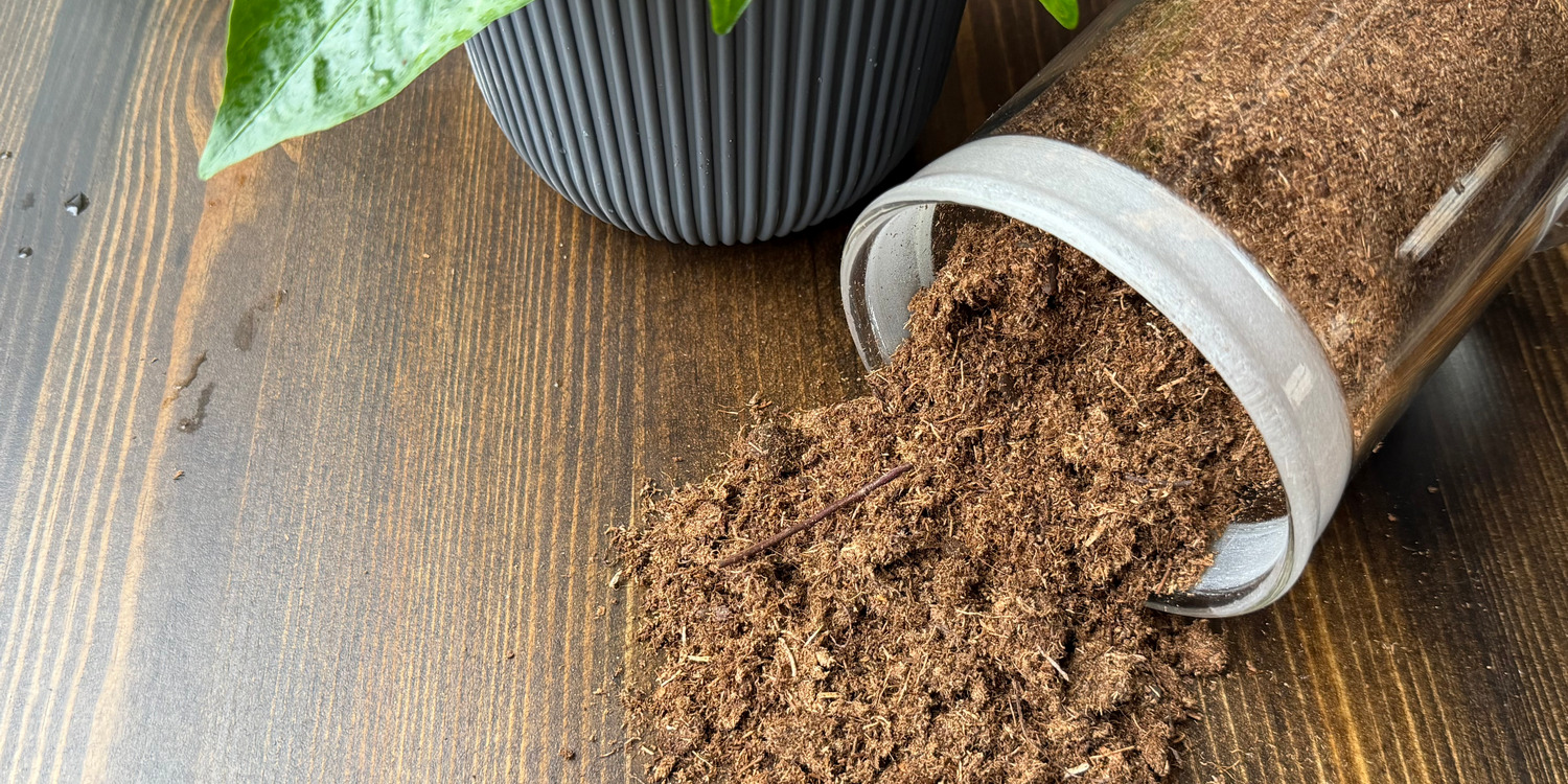 торф крупным планом на деревянной поверхности