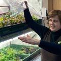 Женщина показывает и объясняет устройство гидропонной установки