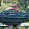 Ольга Догадаева с гигантским кабачком