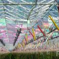 Промышленная теплица, в которой установленны специальные панели, вырабатывающие энергию и отфильтровывающие спектры света