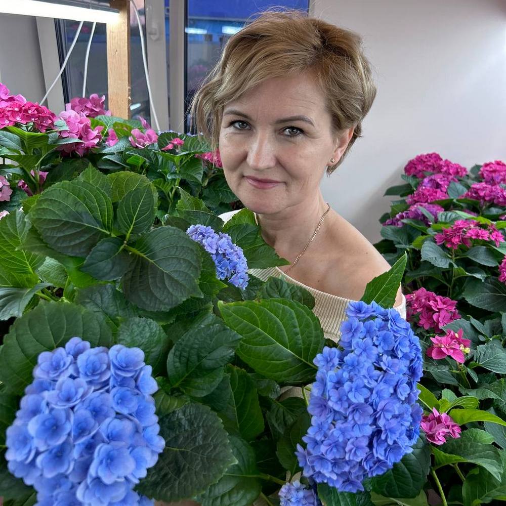 Ольга Кулагина с гортензиями в домашнем питомнике