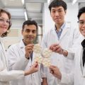 Четыре ученых в белых халатах демонстрируют шестиугольные плитки из мицелия