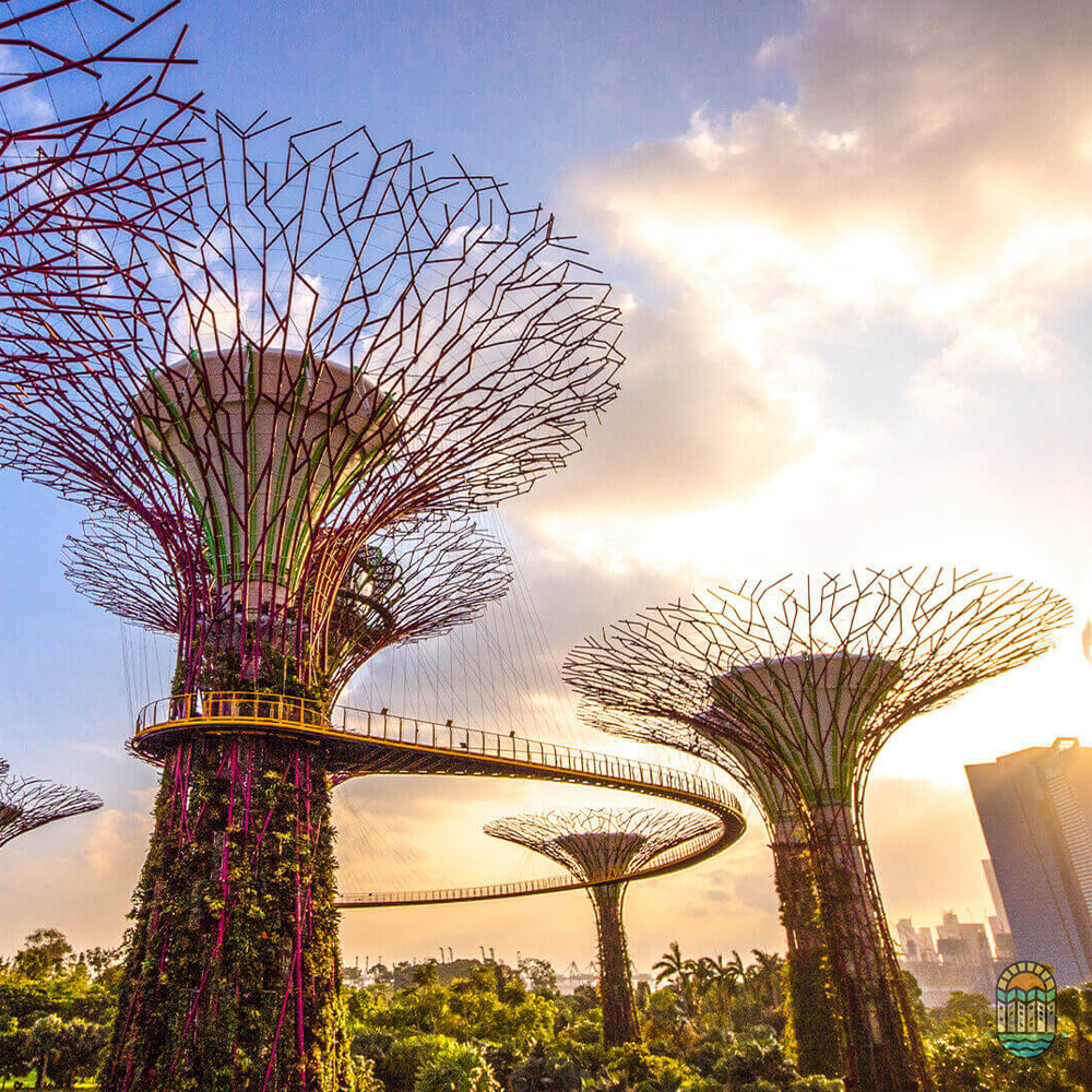 «Супердеревья» в парке Gardens by the Bay, Сингапур