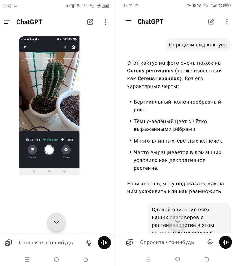 Советы ChatGPT по уходу за растениями