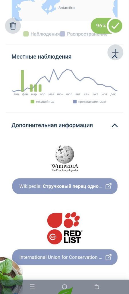 Скриншот приложения для распознавания растений
