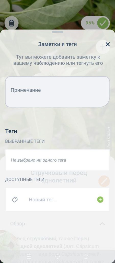 Скриншот приложения для распознавания растений