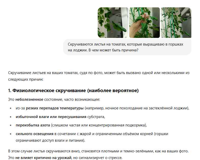 Советы ChatGPT по уходу за растениями