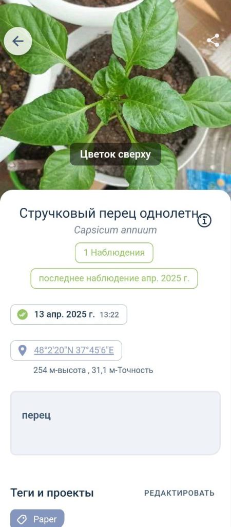 Скриншот приложения для распознавания растений