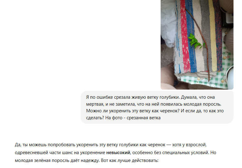 Советы ChatGPT по уходу за растениями