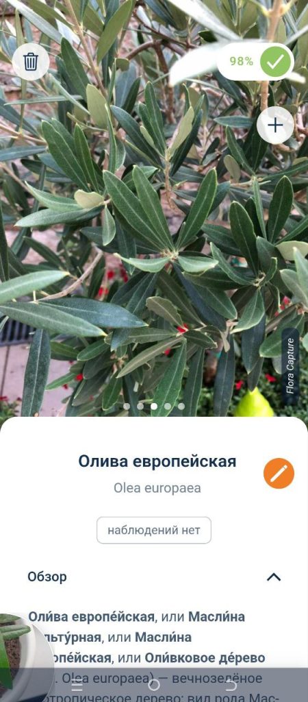 Скриншот приложения для распознавания растений