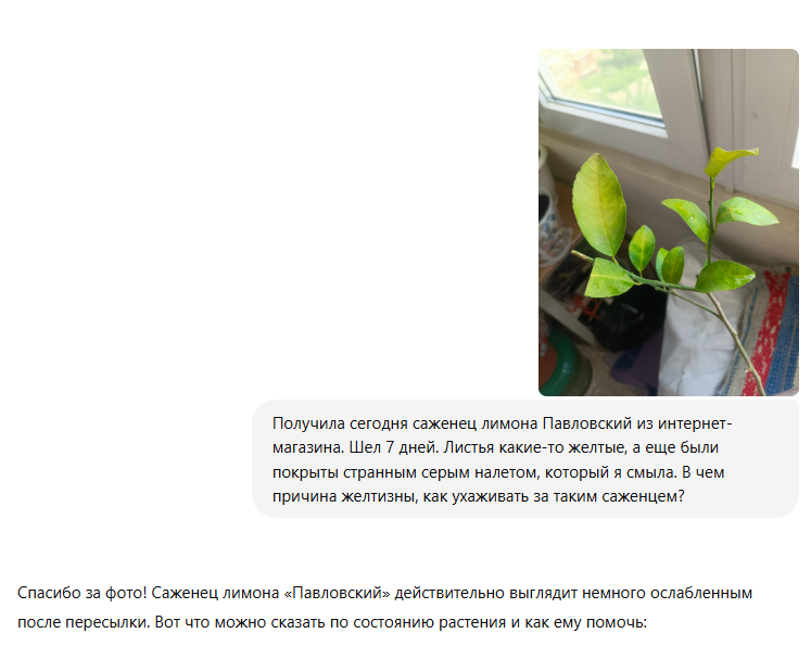 Советы ChatGPT по уходу за растениями