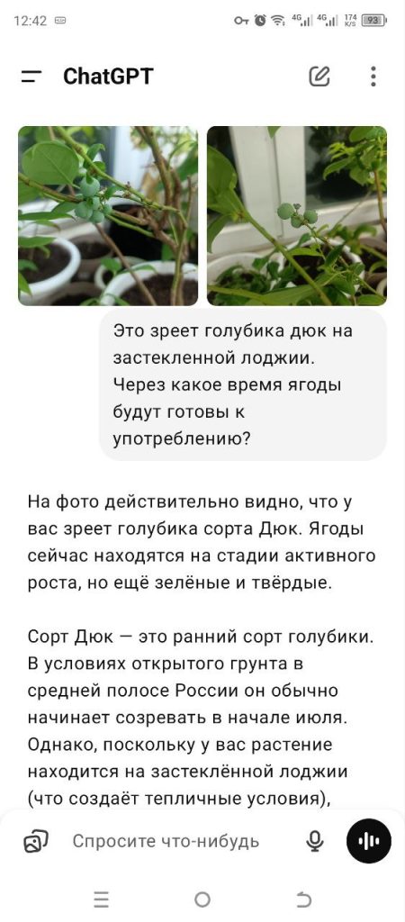 Советы ChatGPT по уходу за растениями