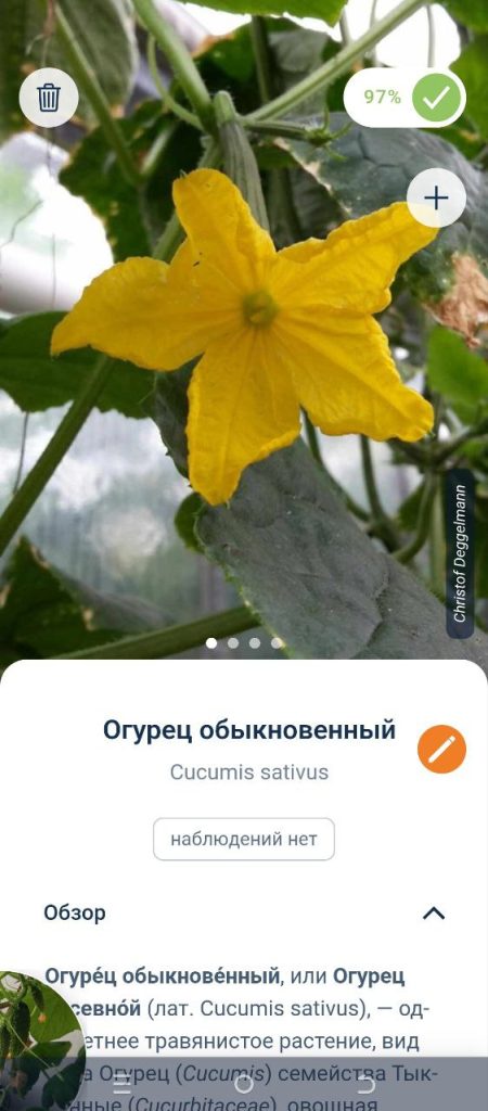 Скриншот приложения для распознавания растений