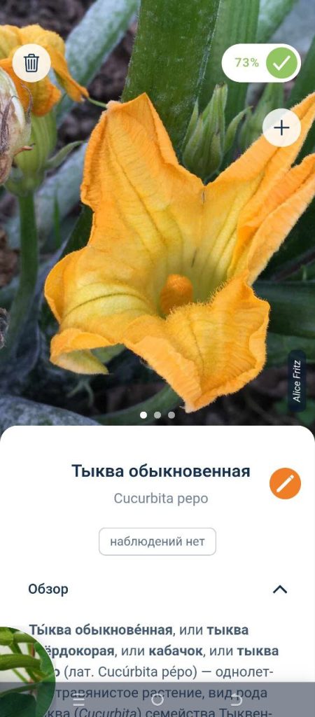 Скриншот приложения для распознавания растений