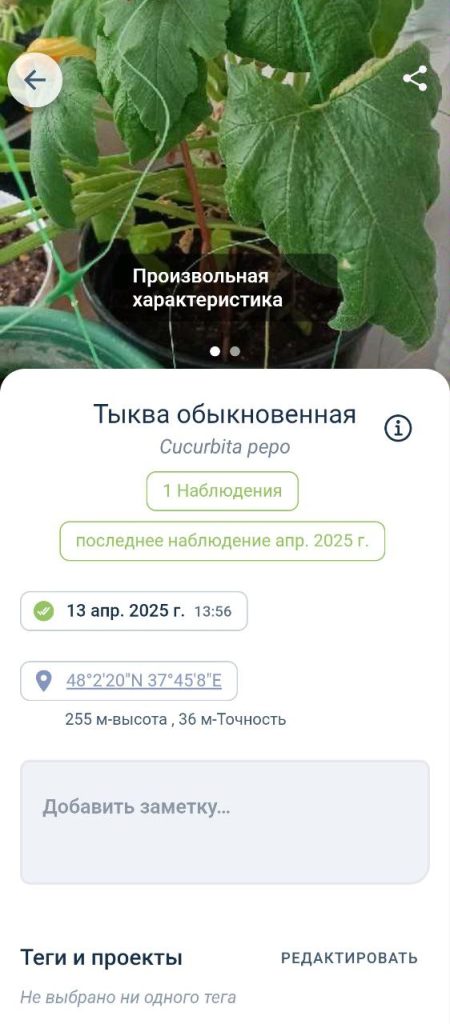 Скриншот приложения для распознавания растений