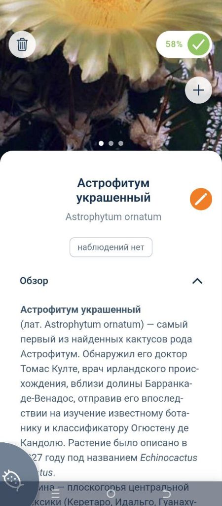 Скриншот приложения для распознавания растений
